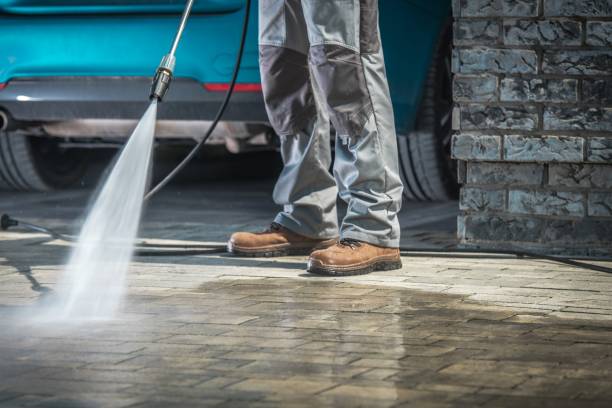 Best Winterizing Services  in Markham, IL